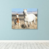 Wilde Pferde zu Hause im Sandwash Basin Leinwanddruck (Insitu (Holzboden))