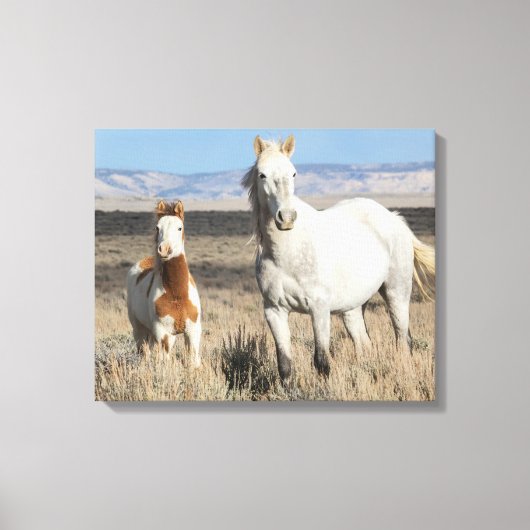 Wilde Pferde zu Hause im Sandwash Basin Leinwanddruck (Vorderseite)
