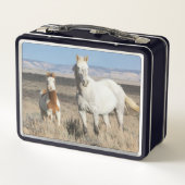 Wilde Pferde zu Hause im Sandwash Basin Metall Brotdose (Rückseite)