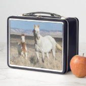 Wilde Pferde zu Hause im Sandwash Basin Metall Brotdose (Beispiel)