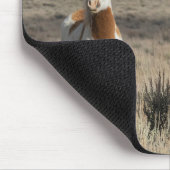 Wilde Pferde zu Hause im Sandwash Basin Mousepad (Ecke)