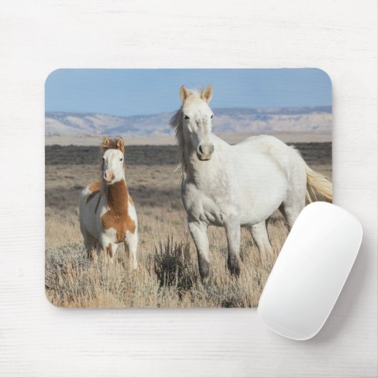 Wilde Pferde zu Hause im Sandwash Basin Mousepad (Mit Mouse)