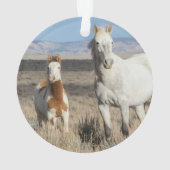 Wilde Pferde zu Hause im Sandwash Basin Ornament (Rückseite)