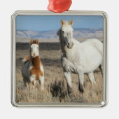 Wilde Pferde zu Hause im Sandwash Basin Ornament Aus Metall (Vorne)