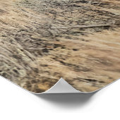 Wilde Pferde zu Hause im Sandwash Basin Poster (Ecke)