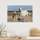 Wilde Pferde zu Hause im Sandwash Basin Poster (Küche)