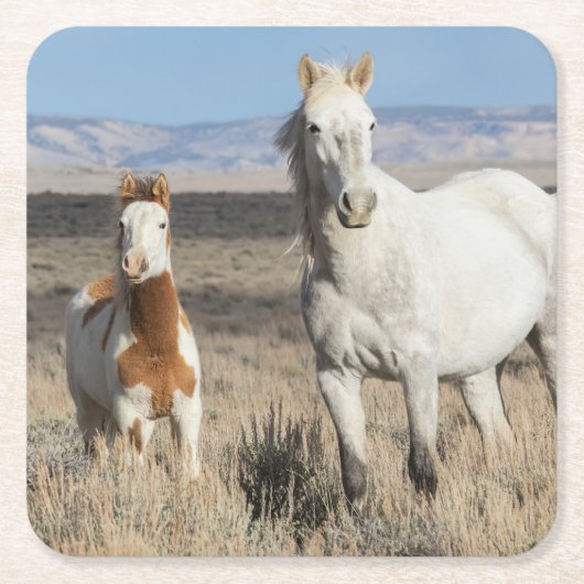 Wilde Pferde zu Hause im Sandwash Basin Rechteckiger Pappuntersetzer (Vorderseite)