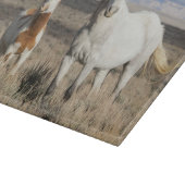 Wilde Pferde zu Hause im Sandwash Basin Schneidebrett (Ecke)