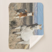 Wilde Pferde zu Hause im Sandwash Basin Sherpadecke (Vorderseite)