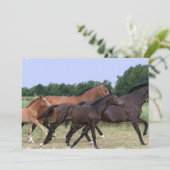 Wilde Pferdeeinladung Einladung (Stehend Vorderseite)