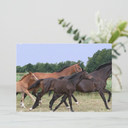 Wilde Pferdeeinladung Einladung (Stehend Vorderseite)