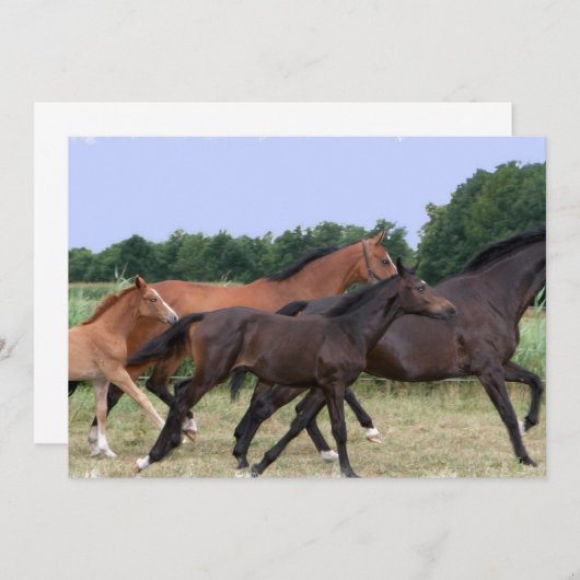 Wilde Pferdeeinladung Einladung (Vorne/Hinten)