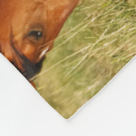 Wilde Pferdemutter und Kalte Weide Fleecedecke (Ecke)