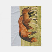 Wilde Pferdemutter und Kalte Weide Fleecedecke (Vorderseite)