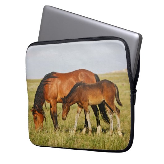 Wilde Pferdemutter und Kalte Weide Laptopschutzhülle (Vorderseite Links)