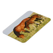 Wilde Pferdemutter und Kalte Weide Magnet (Linke Seite)