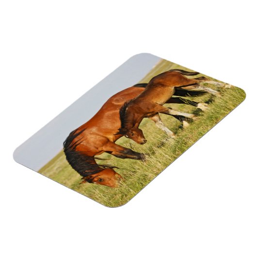 Wilde Pferdemutter und Kalte Weide Magnet (Linke Seite)