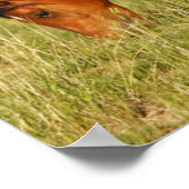 Wilde Pferdemutter und Kalte Weide Poster (Ecke)