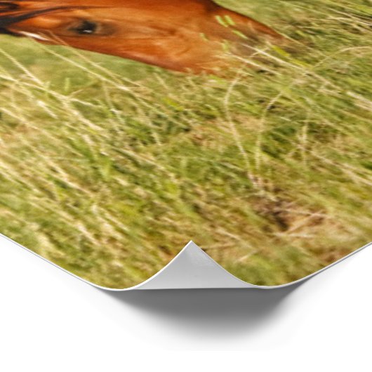Wilde Pferdemutter und Kalte Weide Poster (Ecke)