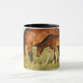 Wilde Pferdemutter und Kalte Weide Tasse (Zentrum)