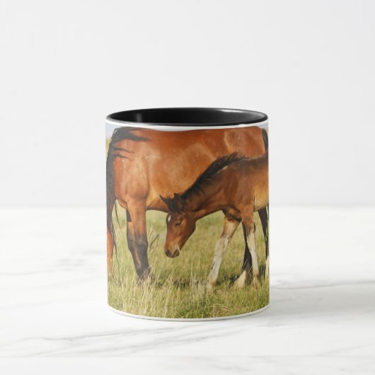 Wilde Pferdemutter und Kalte Weide Tasse (Zentrum)