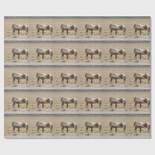 Wilde Pferdepflege Geschenkpapier (Flach)