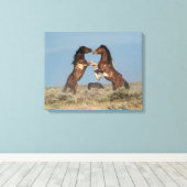 Wilde Pferdeställe kämpfen Leinwanddruck (Insitu (Holzboden))