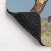 Wilde Pferdeställe kämpfen Mousepad (Ecke)