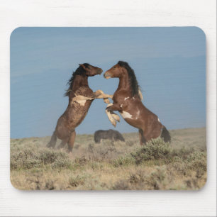 Wilde Pferdeställe kämpfen Mousepad