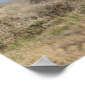 Wilde Pferdeställe kämpfen Poster (Ecke)