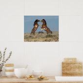 Wilde Pferdeställe kämpfen Poster (Küche)