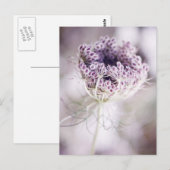 wilde Pflanze Postkarte (Vorne/Hinten)