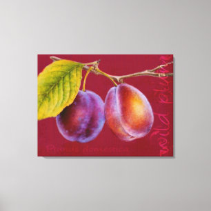 Wilde Pflaume - Prunus domestica Leinwandkunst Leinwanddruck