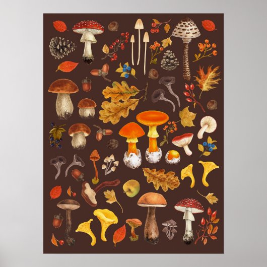 Wilde Pilze auf braun Poster (Vorne)