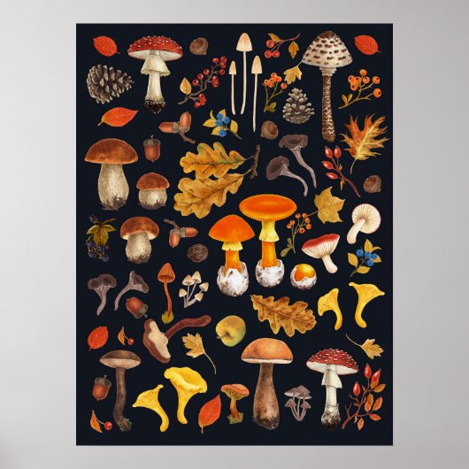Wilde Pilze auf schwarz Poster (Vorne)