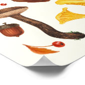 Wilde Pilze auf weißem Boden Poster (Ecke)