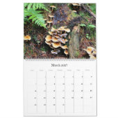 Wilde Pilze aus Alaska - großer Kalender (Mär 2027)