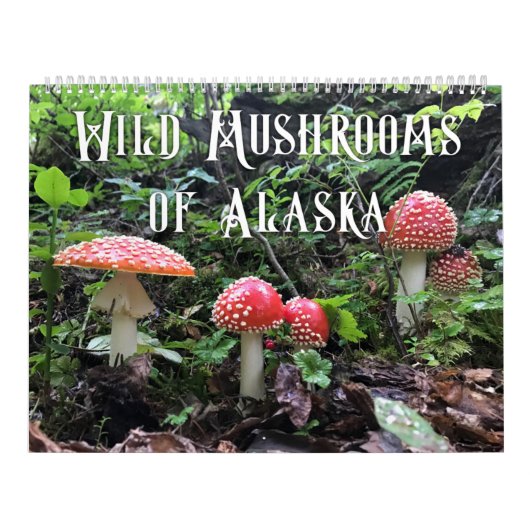 Wilde Pilze aus Alaska - großer Kalender (Titelbild)
