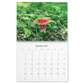 Wilde Pilze aus Alaska - großer Kalender (Jan 2027)