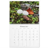 Wilde Pilze aus Alaska - großer Kalender (Feb 2027)