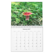 Wilde Pilze aus Alaska - kleiner Kalender (Jan 2027)