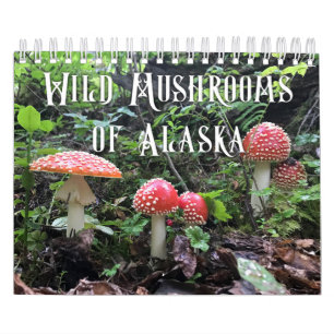 Wilde Pilze aus Alaska - kleiner Kalender