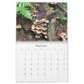 Wilde Pilze aus Alaska - Mittelkalender Kalender (Mär 2027)