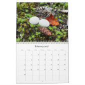 Wilde Pilze aus Alaska - Mittelkalender Kalender (Feb 2027)