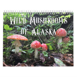 Wilde Pilze aus Alaska - Mittelkalender Kalender