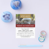 Wilde Pilze, Bauer-Werbung im Pilz Flyer (Einzeln)