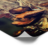 Wilde Pilze, die auf Baumstamm wachsen Poster (Ecke)