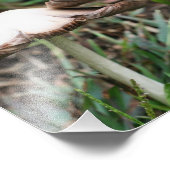 Wilde Pilze Pair 10x8 Natur Fotodruck (Ecke)