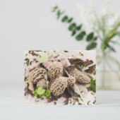 Wilde Pilze, Postkarte (Stehend Vorderseite)