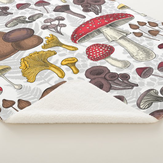 Wilde Pilze Sherpadecke (3/4)